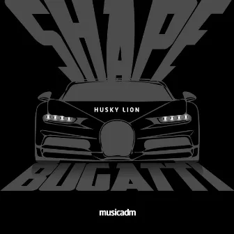 Shape Bugatti by Husky Lion