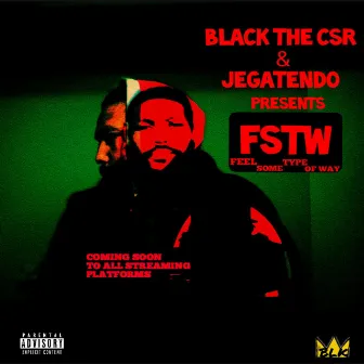 FSTW(Feel Some Type of Way) by Black the CSR