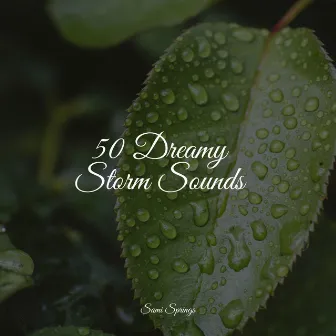 50 Dreamy Storm Sounds by Kings of Nature