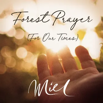 Forest Prayer (For Our Times) by Miel de Botton