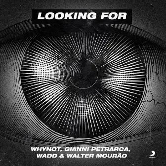 Looking For (feat. Walter Mourão) by WhyNot Music