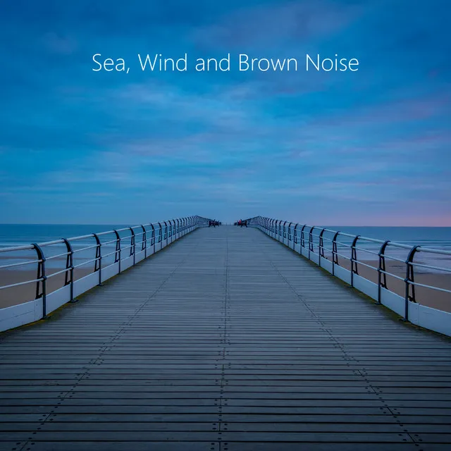 1 Hour Brown Noise and Sea and Wind. Nature, Noise and Relax. Sleeping Music and Brown Noise Relaxation.