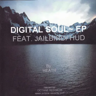 Digital Soul by Heath