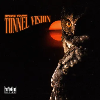 Tunnel Vision by Stevie Young