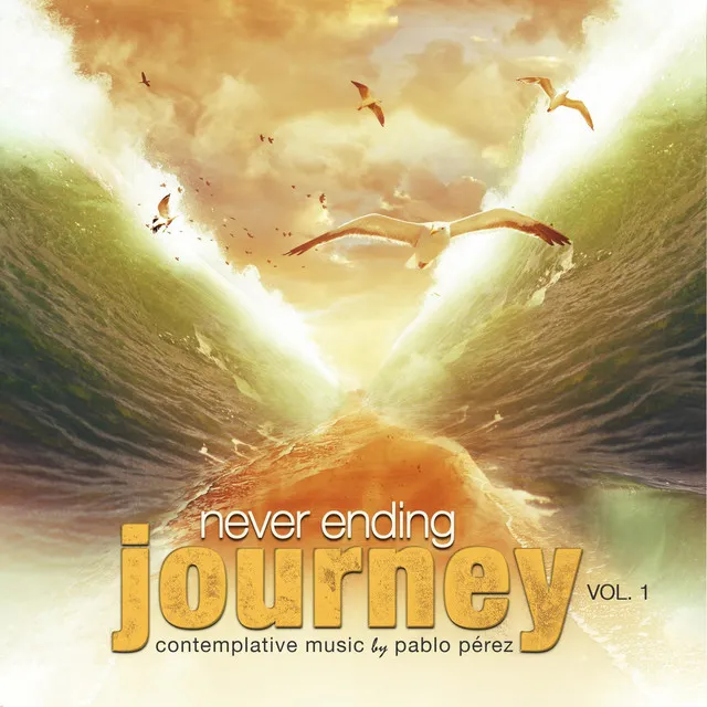 Never Ending Journey, Vol. 1