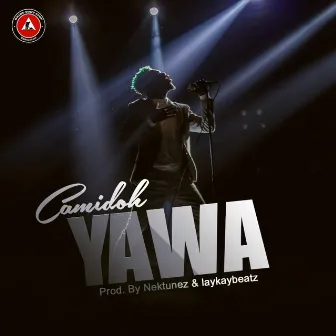 Yawa by Camidoh