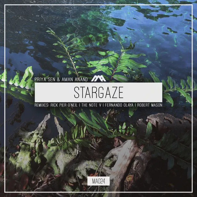 Stargaze - Rick Pier O'Neil Remix