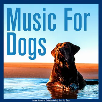 Music For Dogs: Instant Relaxation Collection to Help Your Dog Sleep by Dog Music Therapy