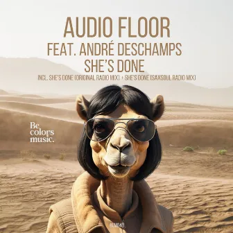 She's Done (Radio Mix) by Audio Floor