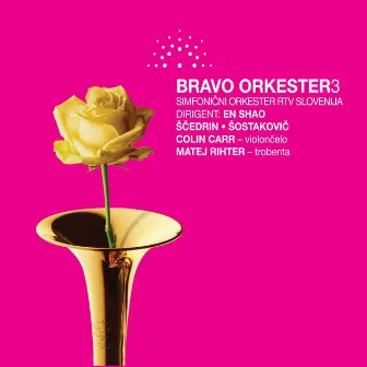 Bravo orkester vol. 3 by Simfonicni orkester RTV Slovenija