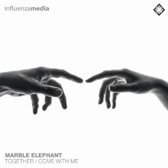 Together / Come with Me by Marble Elephant