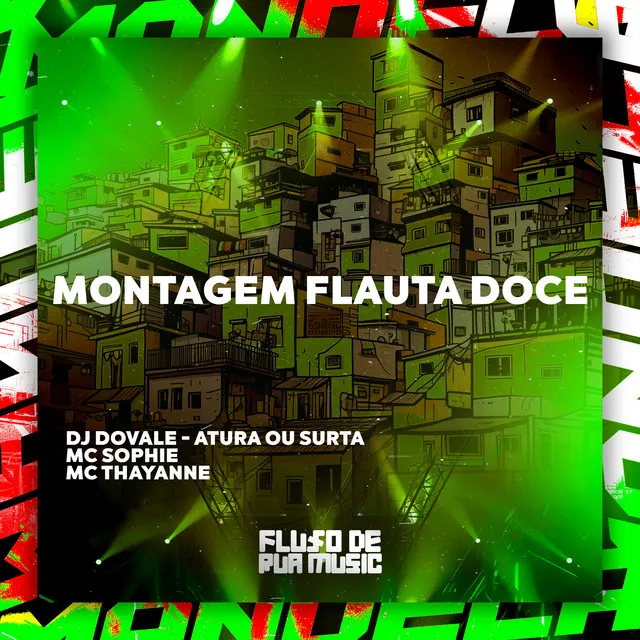 Montagem Flauta Doce