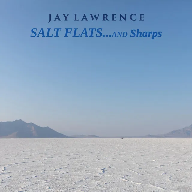 Salt Flats... and Sharps