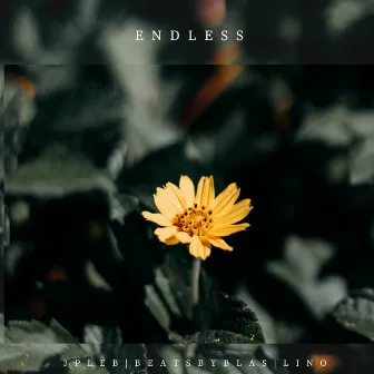 Endless by 