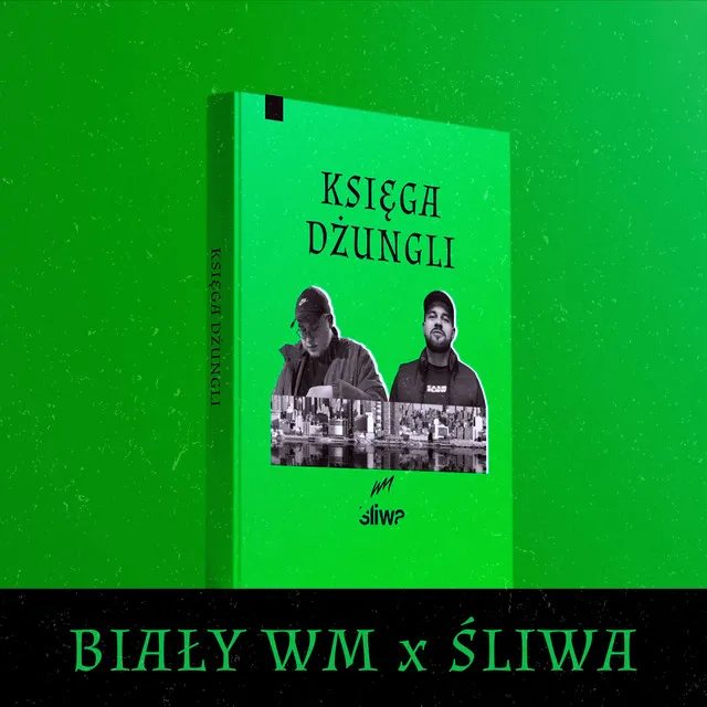 Księga dżungli