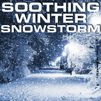 Soothing Winter Snowstorm by Premium Soundscapes