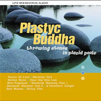 Throwing Stones In Placid Pools by Plastyc Buddha