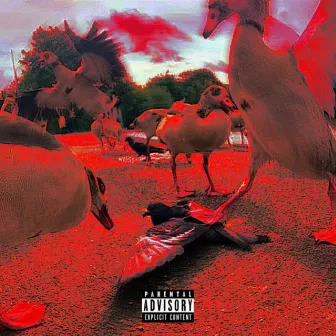 Bird$hitRecords by Piff Mason