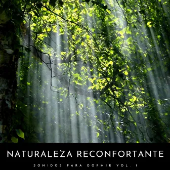 Naturaleza Reconfortante: Sonidos Para Dormir Vol. 1 by Siente El Clima