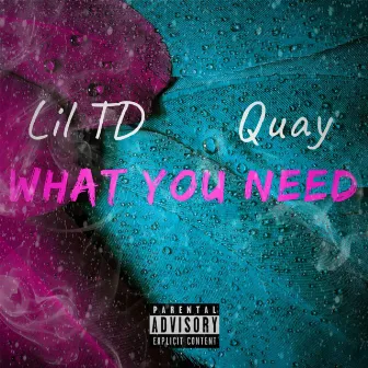 What You Need by Lil TD Baby