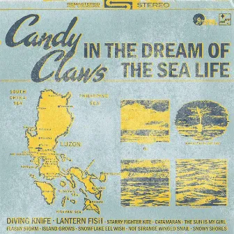 In the Dream of the Sea Life by Candy Claws