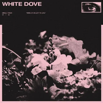 white dove by Koda