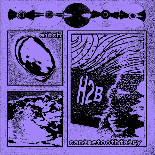 H2B