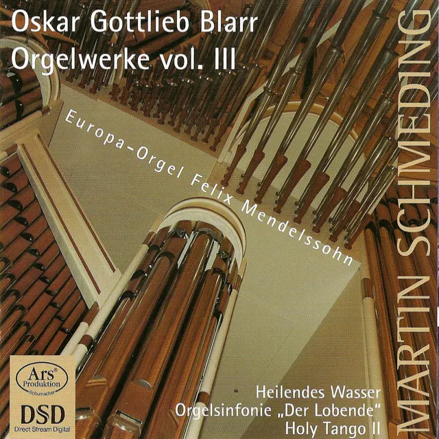 Organ Symphony, "Der Lobende": I. Der Daktylus