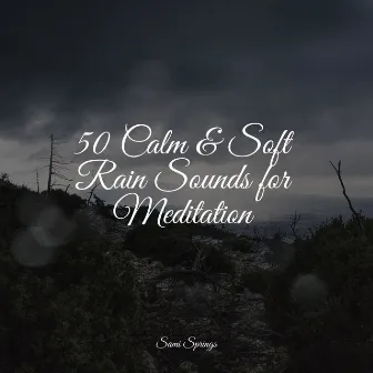 50 Calm & Soft Rain Sounds for Meditation by Calming Waves