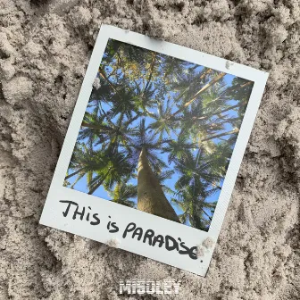 This is Paradise by MiSolEy