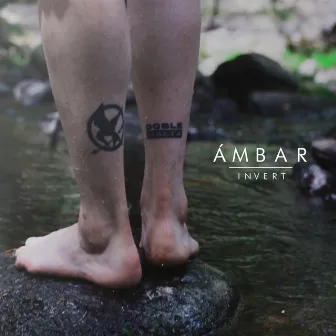 Ambar by Invert