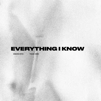 Everything I Know by Unknown Artist