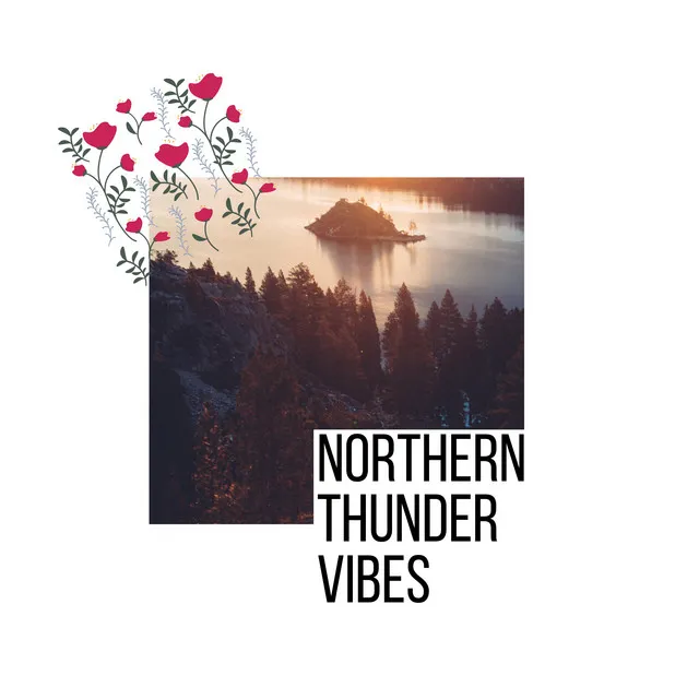 Northern Thunder Vibes