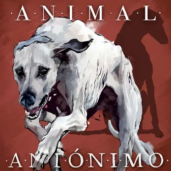 Animal by Antónimo