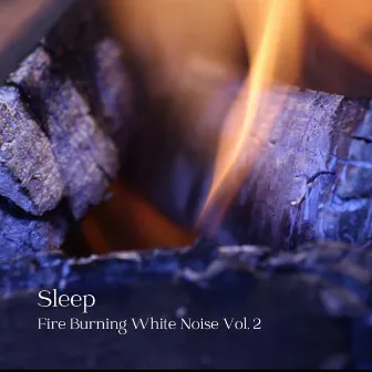 Sleep: Fire Burning White Noise Vol. 2 by Classical Music