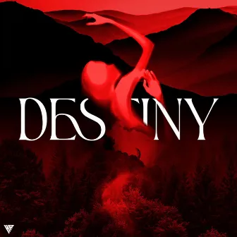 Destiny by Shehroz