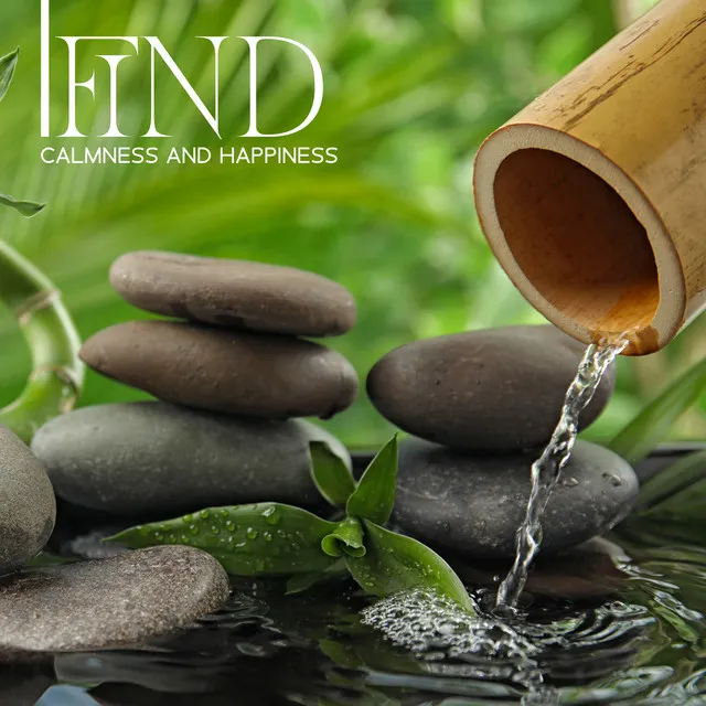 Find Calmness and Happiness: Relaxing Bamboo Fountain Soundscape