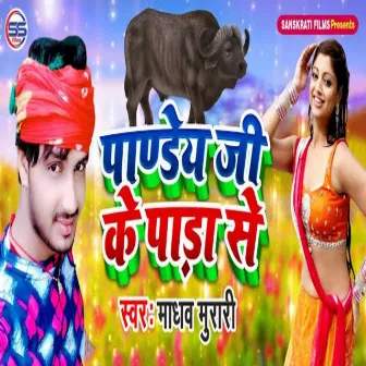 Pandey Ji Ke Pada Se by Madhav Murari