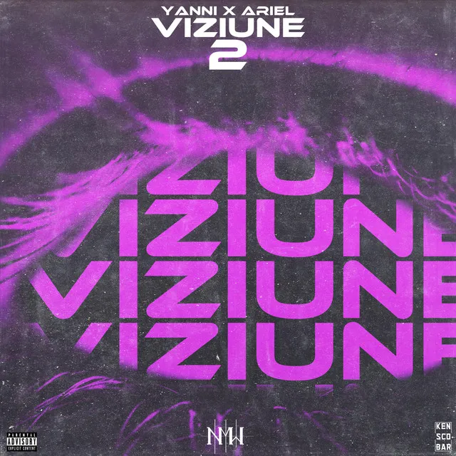 Viziune 2