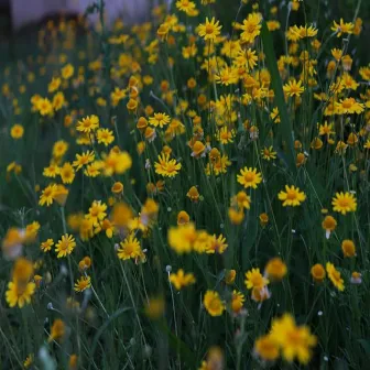 Spring feelings by Jose Bautista