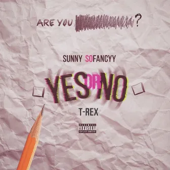 Yes or No by Sunny Sofancyy