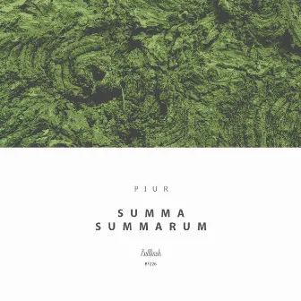 Summa Summarum by PIUR