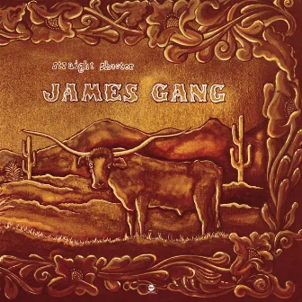 Straight Shooter by James Gang