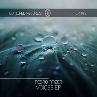 Voices by Pedro Nazer