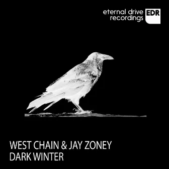 Dark Winter by Jay Zoney