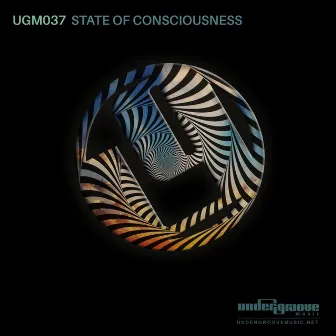 State Of Consciousness by Soulearth