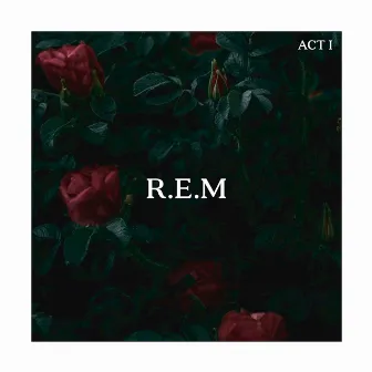 ACT I: R.E.M by VII