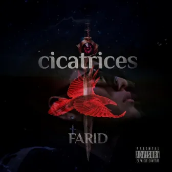 Cicatrices by Farid