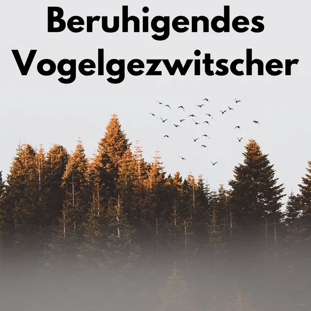 Beruhigendes Vogelgezwitscher