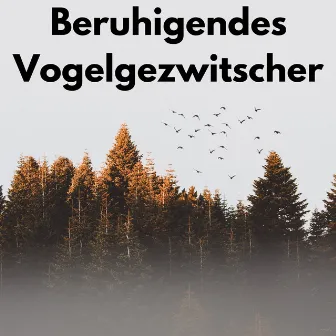 Beruhigendes Vogelgezwitscher by Waldgeräusche zum Schlafen